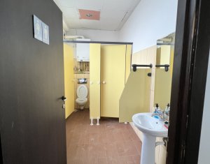Spatiu comercial sau birouri 274mp piata Cipariu mezanin