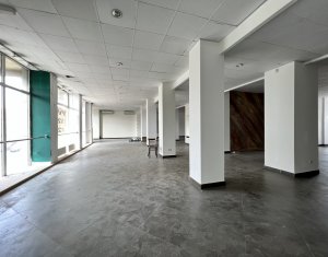 Spatiu comercial sau birouri 478mp piata Cipariu 