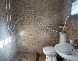 Maison 2 chambres à louer dans Cluj-napoca, zone Andrei Muresanu