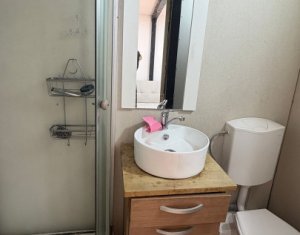 Maison 2 chambres à louer dans Cluj-napoca, zone Andrei Muresanu