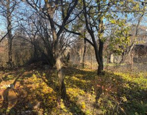 Maison 2 chambres à louer dans Cluj-napoca, zone Andrei Muresanu