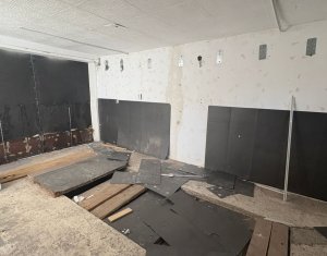 Maison 2 chambres à louer dans Cluj-napoca, zone Andrei Muresanu