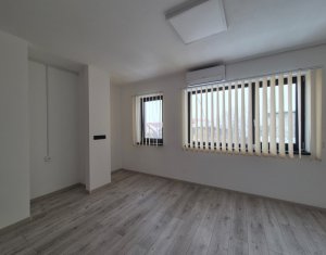 Maison 6 chambres à louer dans Cluj-napoca, zone Europa