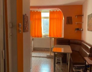 Appartement 1 chambres à vendre dans Cluj-napoca, zone Manastur