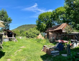 Ház 3 szobák eladó on Savadisla