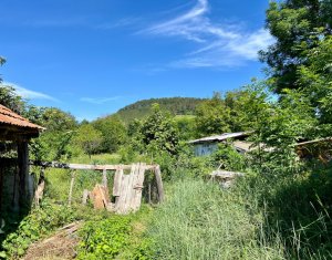 Ház 3 szobák eladó on Savadisla