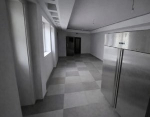 Spatiu comercial alimentatie publica zona Gara