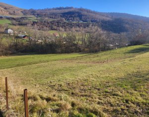 Teren intravilan constructii Tauti