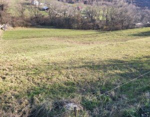 Teren intravilan constructii Tauti