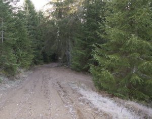 Se vinde teren cat un munte in Apuseni - Poiana Horea