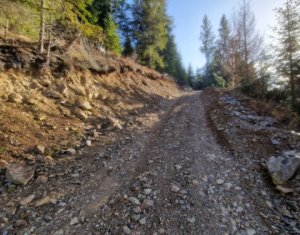 Se vinde teren cat un munte in Apuseni - Poiana Horea