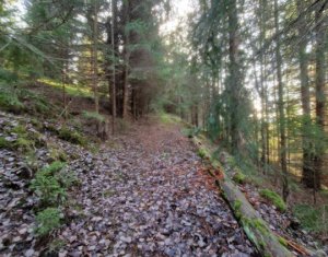 Se vinde teren cat un munte in Apuseni - Poiana Horea