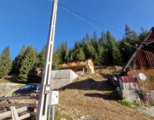 Se vinde teren cat un munte in Apuseni - Poiana Horea
