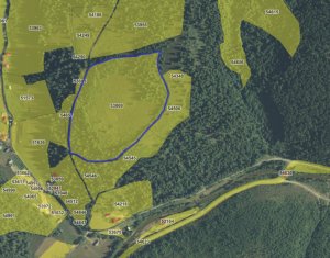 Se vinde teren cat un munte in Apuseni - Poiana Horea