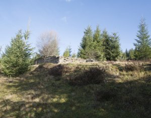 Se vinde teren cat un munte in Apuseni - Poiana Horea