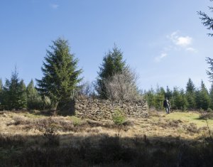Se vinde teren cat un munte in Apuseni - Poiana Horea