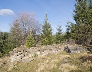 Se vinde teren cat un munte in Apuseni - Poiana Horea