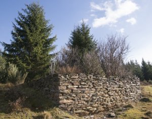 Se vinde teren cat un munte in Apuseni - Poiana Horea
