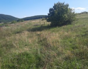 , 908m2 in Salicea
