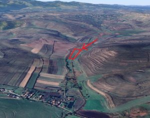 , 21500m2 in Valea Agrisului