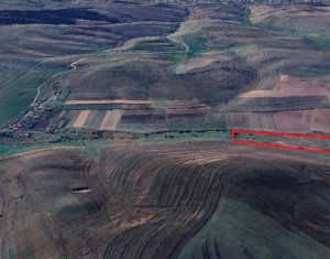 Terrain à vendre dans Valea Agrisului