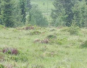 Vanzare Teren – Risca, Comuna Belis