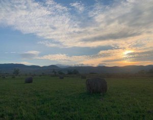 , 6900m2 on Braisoru