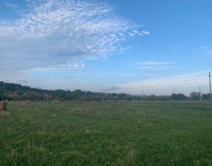 Telek eladó on Braisoru