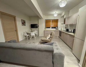 Appartement 2 chambres à louer dans Cluj-napoca, zone Buna Ziua