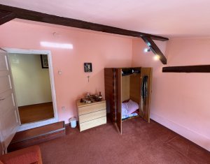 Maison 5 chambres à louer dans Cluj-napoca, zone Centru