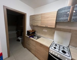 Maison 3 chambres à louer dans Cluj-napoca, zone Dambul Rotund