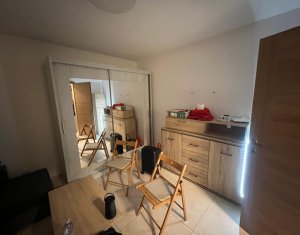 Maison 3 chambres à louer dans Cluj-napoca, zone Dambul Rotund