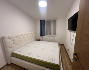 Maison 3 chambres à louer dans Cluj-napoca, zone Dambul Rotund