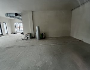 Espace Commercial à louer dans Cluj-napoca, zone Borhanci