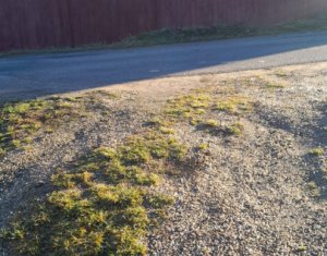 , 1100m2 dans Cluj-napoca