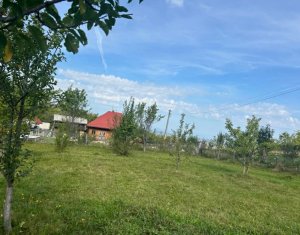 NOU. Se vinde teren pentru casa/cabana intr-o zona cu aer curat.