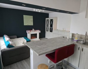 Apartment 2 rooms for rent in Cluj-napoca, zone Gruia