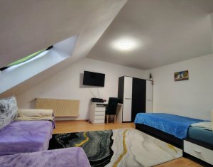 Apartament cu o camera, zona Porii, Floresti