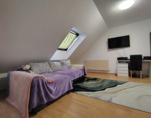 Apartament cu o camera, zona Porii, Floresti