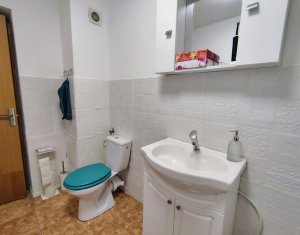 Apartament cu o camera, zona Porii, Floresti