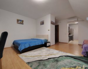 Apartament cu o camera, zona Porii, Floresti