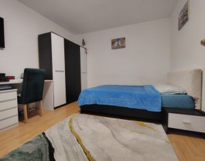 Apartament cu o camera, zona Porii, Floresti