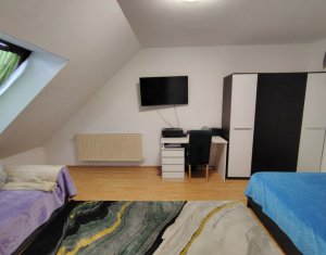 Apartament cu o camera, zona Porii, Floresti