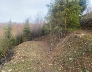 Telek eladó on Marisel