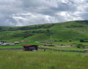 Telek eladó on Chinteni