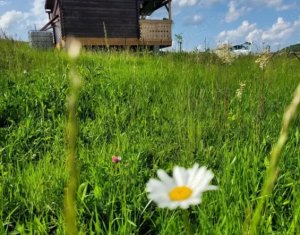 Telek eladó on Chinteni