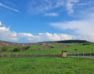 Telek eladó on Chinteni