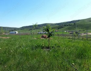 Telek eladó on Chinteni