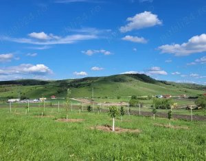 Telek eladó on Chinteni