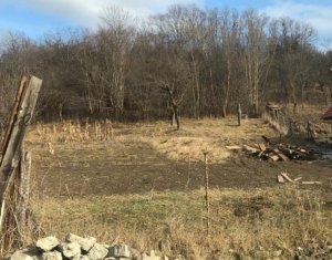 , 2834m2 dans Salicea